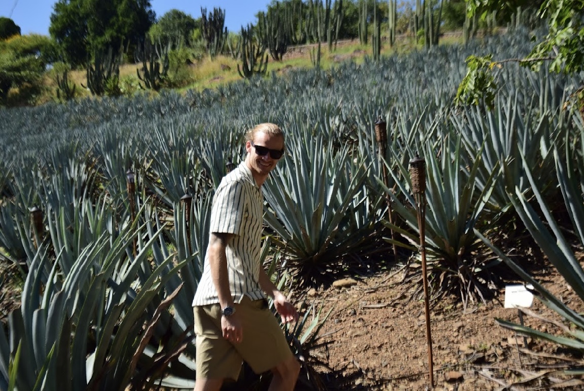 Tequila & Mezcal med Ludwig Andersson